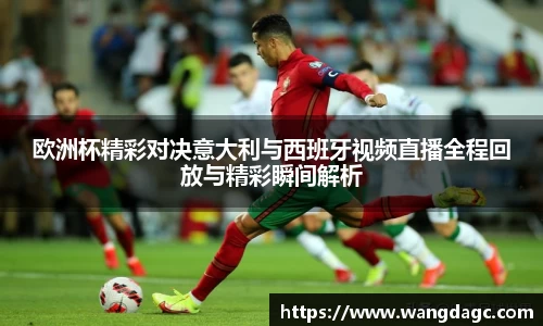 欧洲杯精彩对决意大利与西班牙视频直播全程回放与精彩瞬间解析