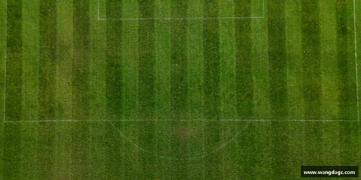 全力冲刺，向梦想出发。